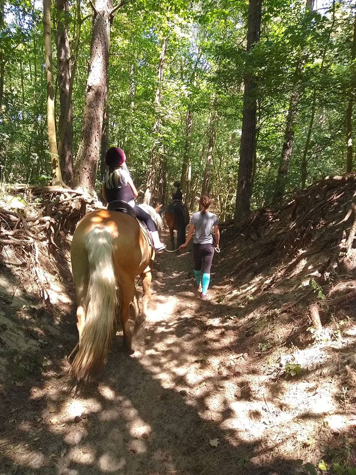 Wandelen met uw paard
